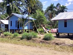 Sebanyak 43 Unit Rumah Bantuan Kemensos RI Kawasan Adat Terpencil Aceh Jaya Hampir Rampung.