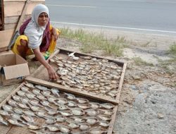 Sulitnya Pertumbuhan Ekonomi Masyarakat Di Aceh Jaya, Seorang Ibu Mengais Rupiah Dibalik Jemuran Ikan Asin