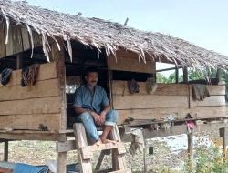 Faktor Ekonomi Tidak Stabil,! Seorang Warga Miskin Di Aceh Jaya Tempati Gebuk Sawah Karena Belum Miliki Rumah Yang Layak