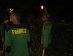 Lagi,! Tengku Rayeuk Serang Kebun Warga Di Aceh Jaya