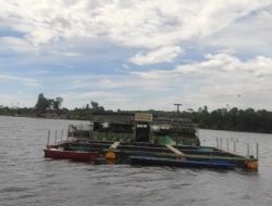 Destinasi Wisata Danau Laut Tadu Nagan Raya, Objek Wisata Yang Diminati Wisatawan Lokal