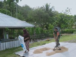 TNI Lakukan Pendampingan Swasembada Pangan Di Masyarakat Tani