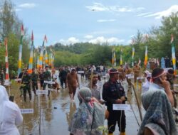 Pugar Lingkungan Hijau, Polres Aceh Jaya Tanam 3209 Mangrove Dipesisir Kuala Pusong