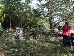 Pokdarwis Pantai Nisero Kembangkan Destinasi Wisata Baru Pulau Nipah