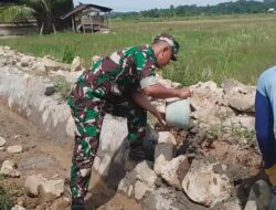 Dukung Swasembada Pangan, Babinsa Di Aceh Jaya Sinergik Peduli Petani dan Masyarakat Binaannya