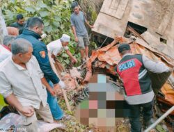 Akibat Rem Blong, Truck Trado Pengangkut Excavator Masuk Jurang, Supir Meninggal Ditempat