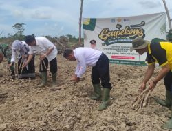 Luncurkan Program Geupekong,! Pemkab Aceh Jaya Tanam Perdana 10 Hektar Lahan Singkong