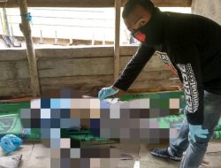 Warga Sungai Mas Digegerkan Dengan Penemuan Mayat di Gubuk Kebun Serai