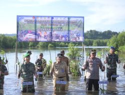 Mitigasi Pencegahan Bencana, Pj Bupati Ikut Tanam Magrove Bareng Dandim 0114/Aceh Jaya