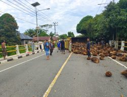 Kecelakaan Tunggal, Truk Angkutan TBS Kelapa Sawit Terguling di Badan Jalan Nasional