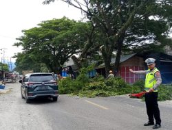 Personel Polsek Darul Makmur Bantu Warga Tebang Pohon Lintas Jalan Nasional Nagan – Tapak Tuan