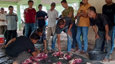 Warisan Leluhur Tradisi Adat Keunduri Blang Melekat Dipetani Aceh