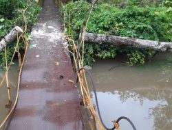 Jembatan Gantung Lueng Lhok Ambruk Tertimpa Pohon Tumbang, Geuchik Harap Pemerintah Aceh Jaya Segera Menanggapi