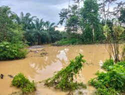 Lahan Perkebunan dan Pertanian Warga Terendam Banjir Akibat Iklim, Keuchik Harapkan Peran Pemerintah Daerah