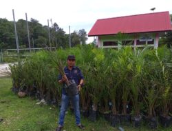 Praduga Korupsi Lahan PSR Aceh Jaya di Tingkatkan Kajati Aceh