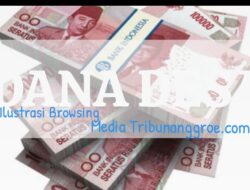 Nagan Raya Terima Alokasi Dana Desa Sebesar 167 Miliar Tahun 2024