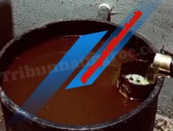 Harga Minyak Nilam Murni Capai Angka Tertinggi Hari Ini