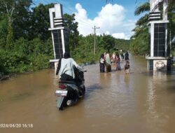 Akibat Curah Hujan Berturut-turut, Puluhan Hektare Sawah Petani Terendam, Benih Siap Disemai Terbawa Arus