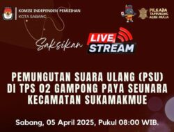 Paslon Independen Menang Telak Di PSU TPS 02 Paya Seunara Sabang