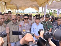 Panen Raya Jagung Aceh Jaya Kuartal III, Bupati Safwandi Dorong Swasembada Pangan