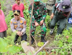 Jaga Kelestarian Lingkungan, Kapolres Aceh Tengah Tanam Ribuan Pinus