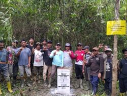 Pemkab Aceh Jaya Tata Batas Kawasan Hutan, Puluhan Pal Beton Dipasang