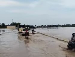 Ratusan Hektar Sawah Siap Panen di Pijay Tertimbun Lumpur Banjir