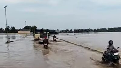 Ratusan Hektar Sawah Siap Panen di Pijay Tertimbun Lumpur Banjir