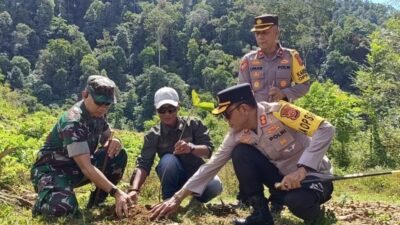 Aparat Gabungan TNI–Polri Tertibkan Tambang Emas Ilegal di Panggong
