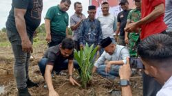 Penanaman Perdana Kebun Sawit Eks Kombatan GAM di Pasie Raya, Safwandi: Perkuat Kemandirian Ekonomi