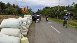 Pasca Panen Raya, Harga Gabah Kering Rp6.500/Kg di Aceh Barat