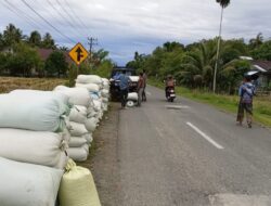 Pasca Panen Raya, Harga Gabah Kering Rp6.500/Kg di Aceh Barat