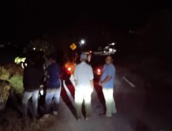 Kerbau Liar di Jalan Meulaboh–Kuala Bhee Picu Kekhawatiran Pengguna Jalan