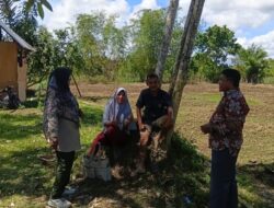 BPP Bubon dan Dinas Pertanian Aceh Barat Tinjau Lahan Petani