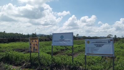 Aceh Jaya Peroleh Bantuan APBN Cetak Sawah Baru 1.000 Hektare, Perkuat Ketahanan Pangan Nasional